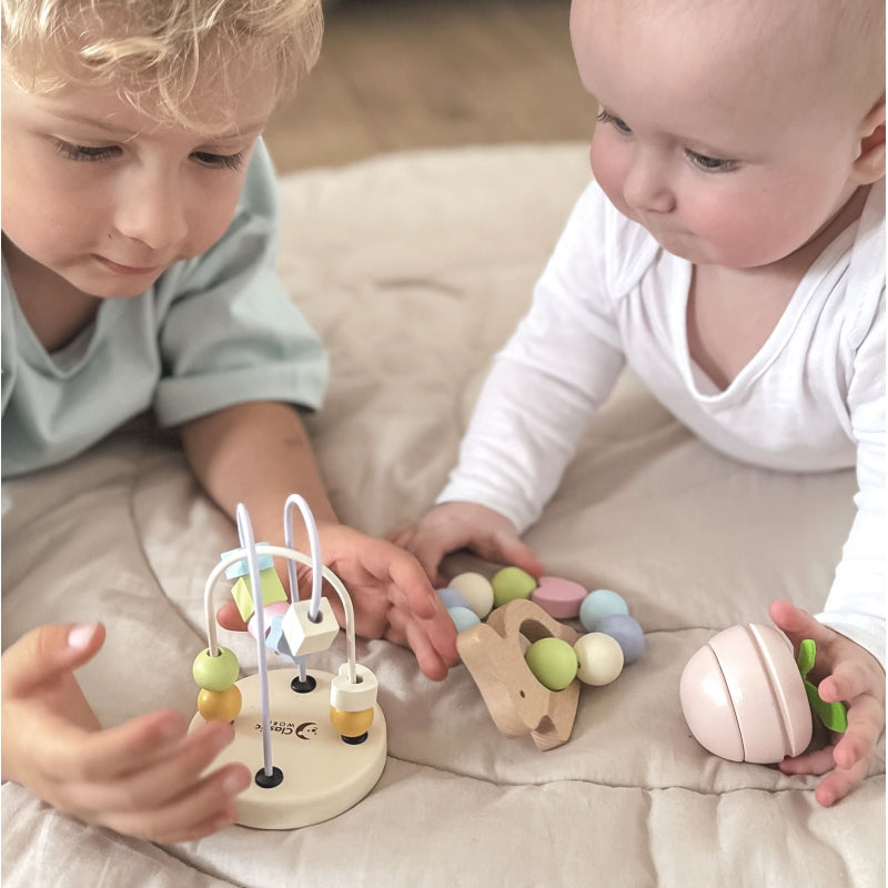 CLASSIC WORLD Pastel Speelset voor Baby's Box- Eerste Speelgoed vanaf de Geboorte