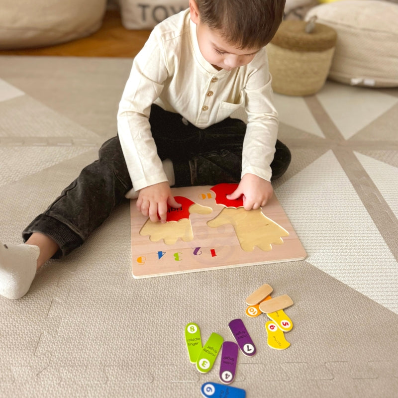 TOOKY TOY Educatieve houten puzzel Handleren tellen en kleuren