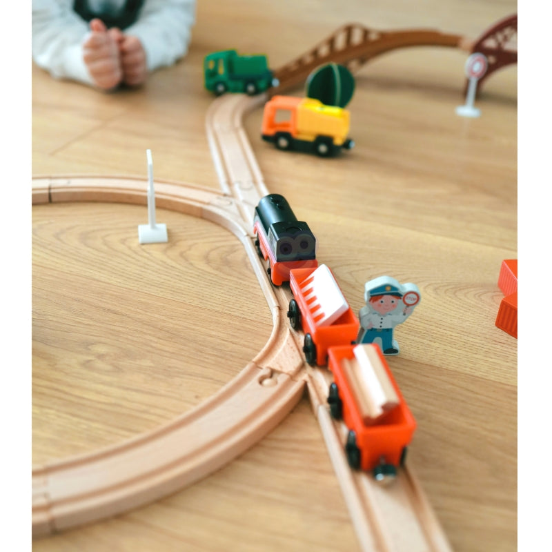 WOOPIE Elektrische Trein met Wagons op Magneet comptabel met diverse treinbanen