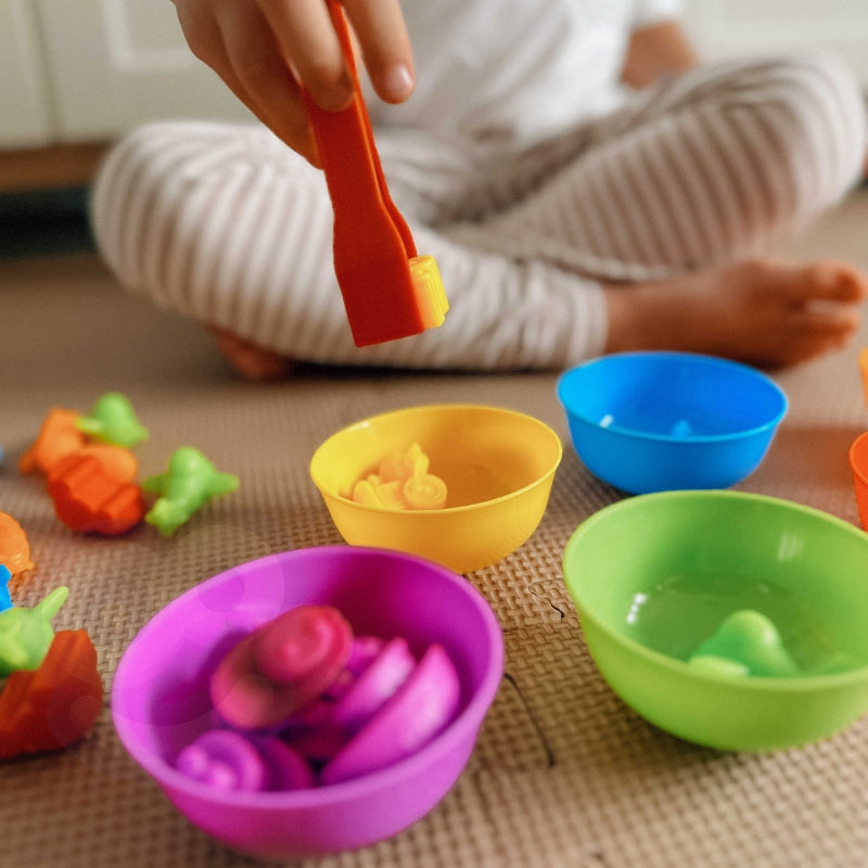 WOOPIE Educatief Spel voertuigen sorteren 44 stuks - Leer rekenen, kleuren herkennen en sorteren - Montessori