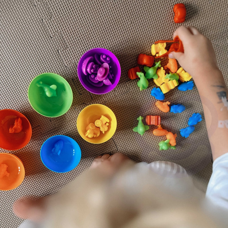 WOOPIE Educatief Spel voertuigen sorteren 44 stuks - Leer rekenen, kleuren herkennen en sorteren - Montessori