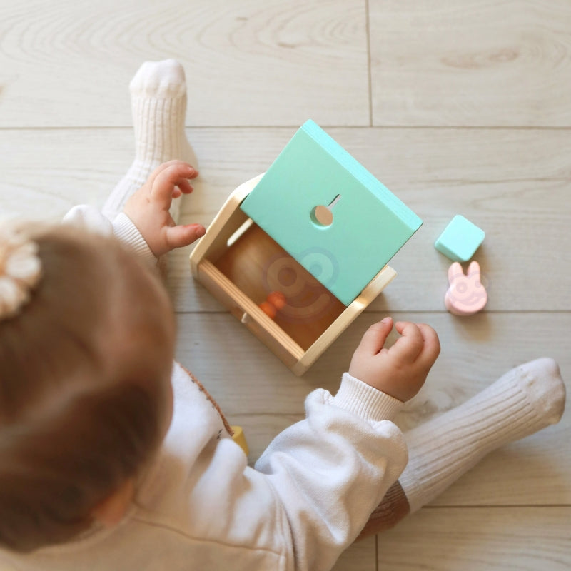CLASSIC WORLD Pastel Baby Set Box - Eerste Speelgoed voor Leren van 12 tot 18 maanden