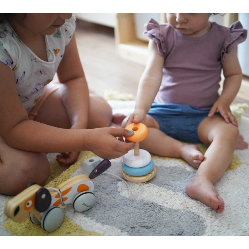 VIGA PolarB Houten Educatieve Piramide toren IJsbeer voor Baby's