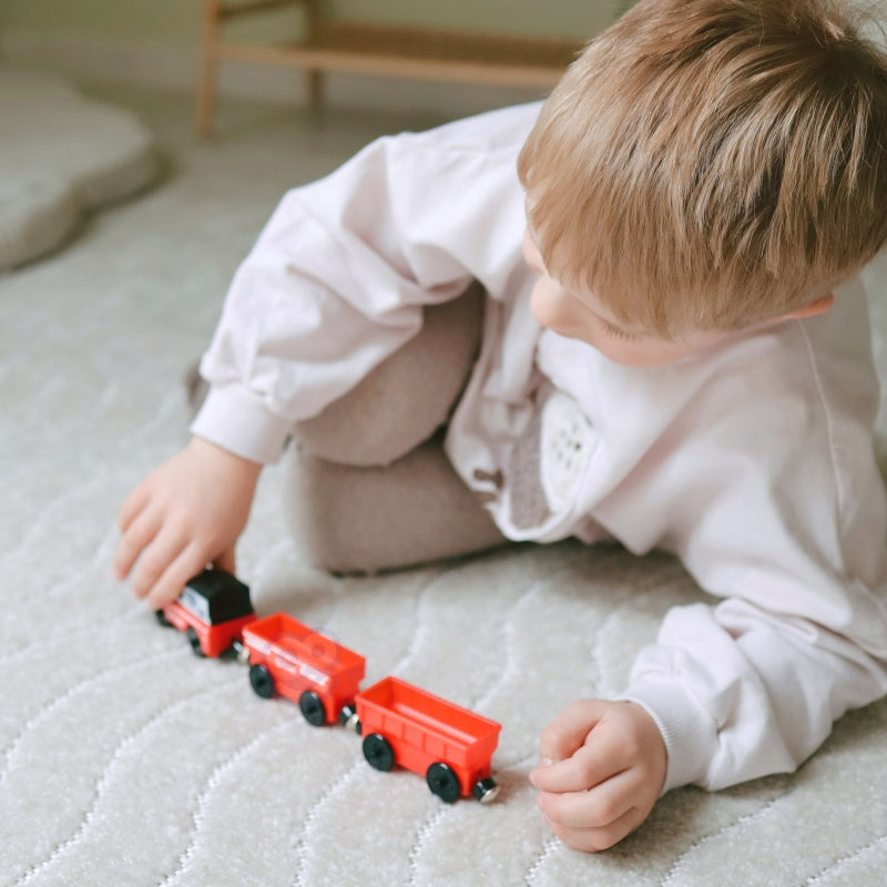 WOOPIE Elektrische Trein met Wagons op Magneet comptabel met diverse treinbanen
