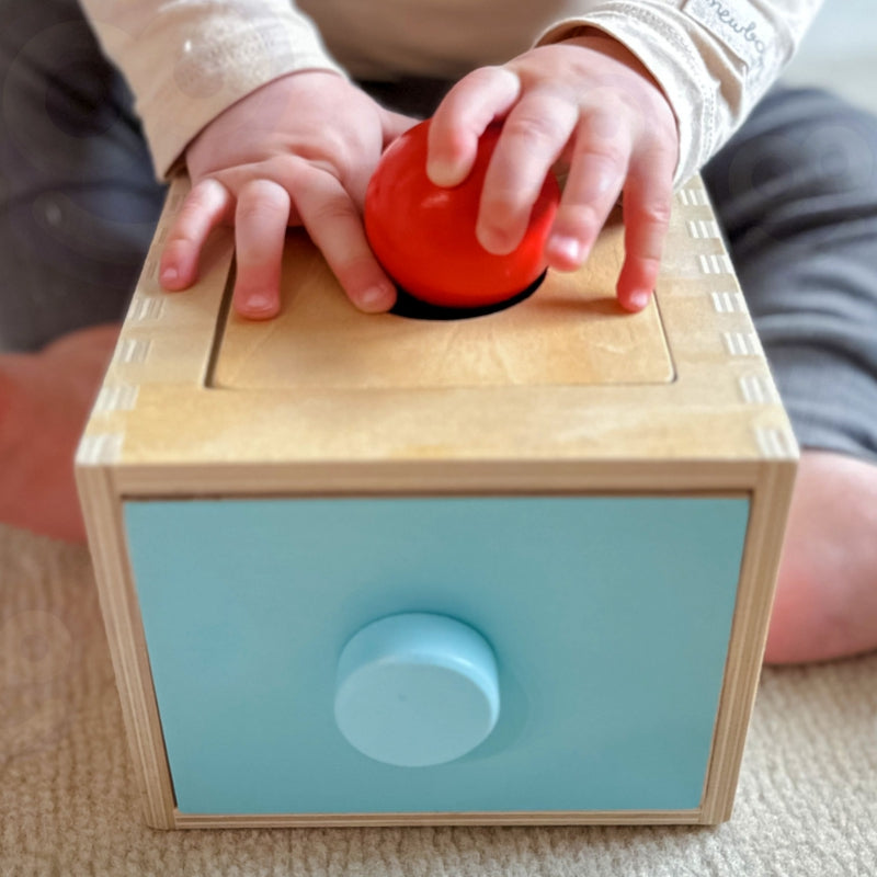 WOOPIE GREEN Houten Wortel 4-in-1 sorteerspel - Educatieve Lade - Montessori speelgoed -FSC