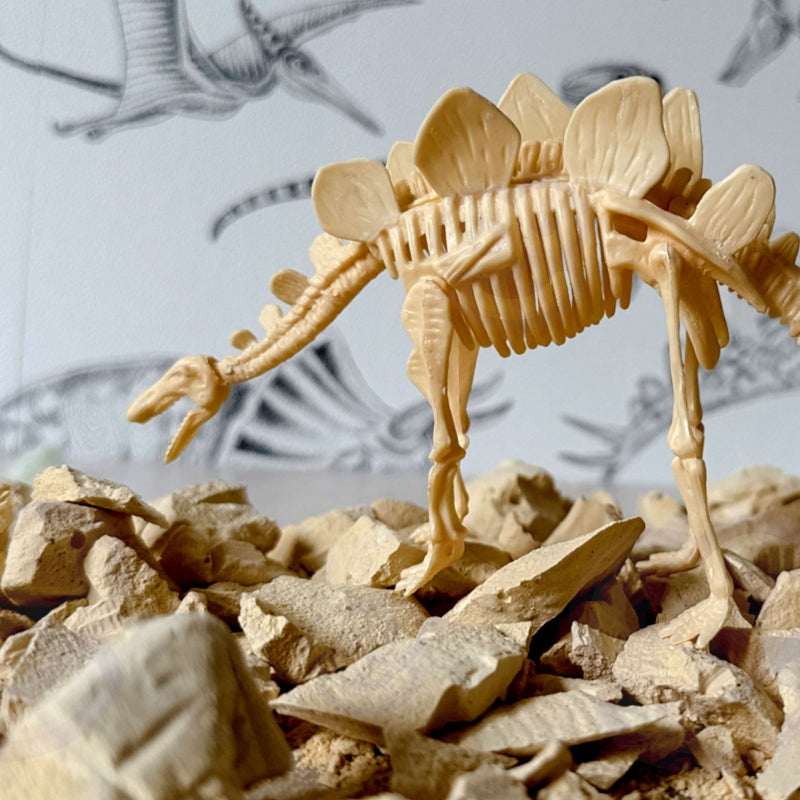 WOOPIE Speelgoed Dinosaurus Skelet Opgraven, graaf, reinig en bouw je eigen dinosaurus