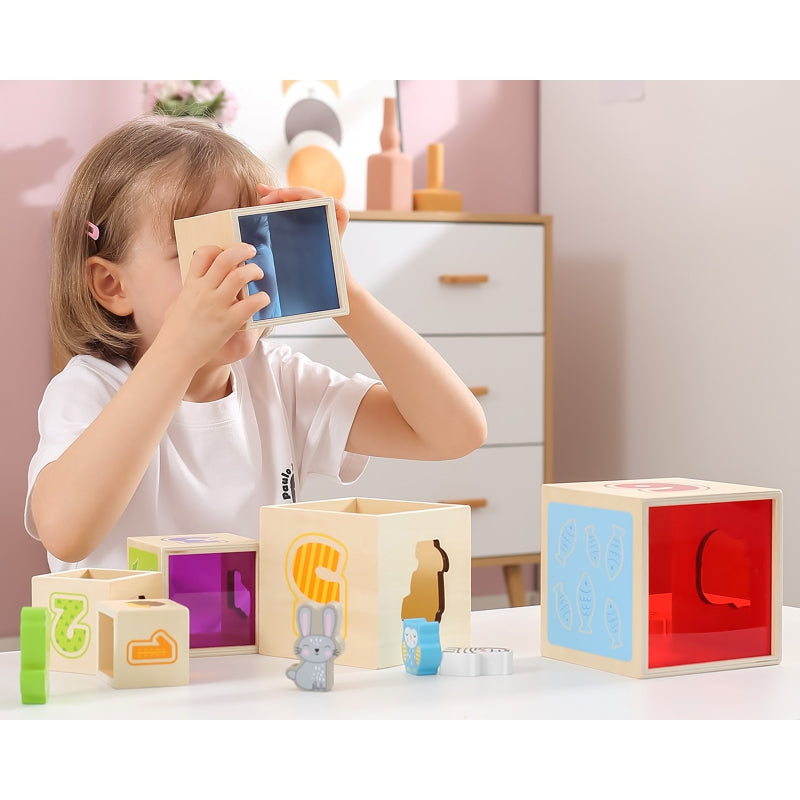 VIGA Houten Piramide Puzzelblokken
