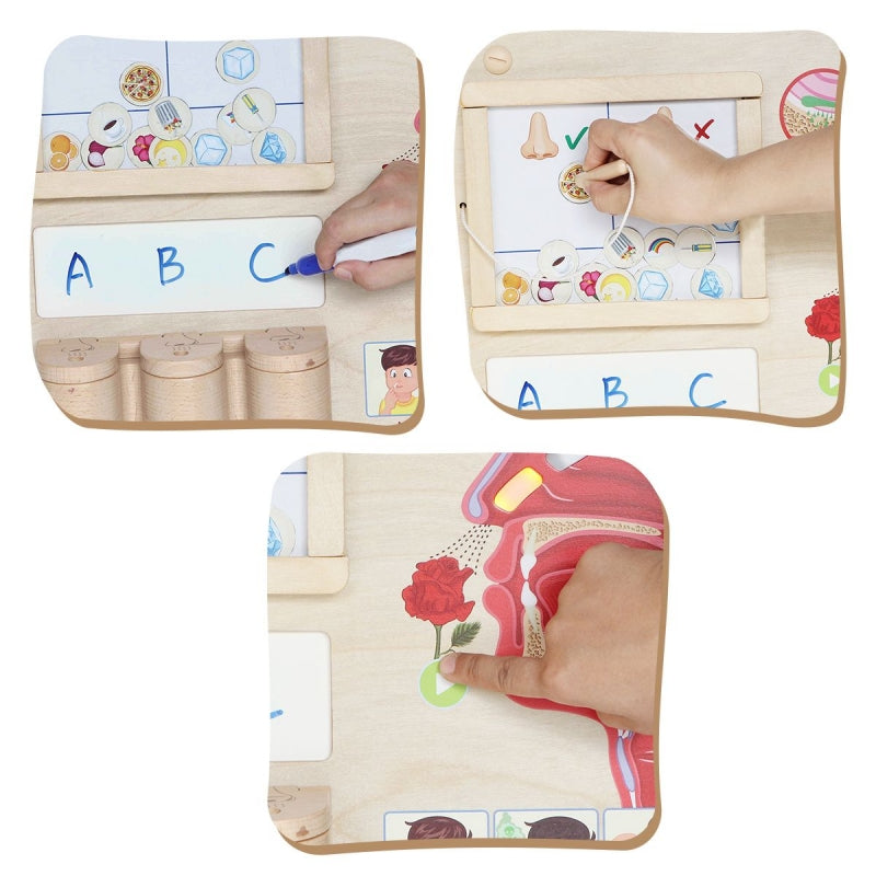 MASTERKIDZ Educatief houten muurwand, Paneel zintuigen - Montessori