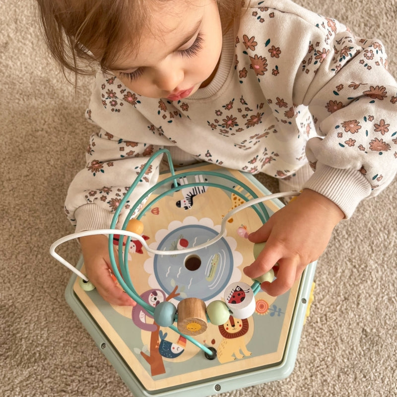 TOOKY TOY Interactieve houten zeshoekige Speelgoed doos