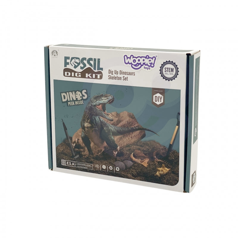 WOOPIE Dinosaurusskelet Opgraving set 6-in-1 - Kleine Archeoloog - 6 stuks