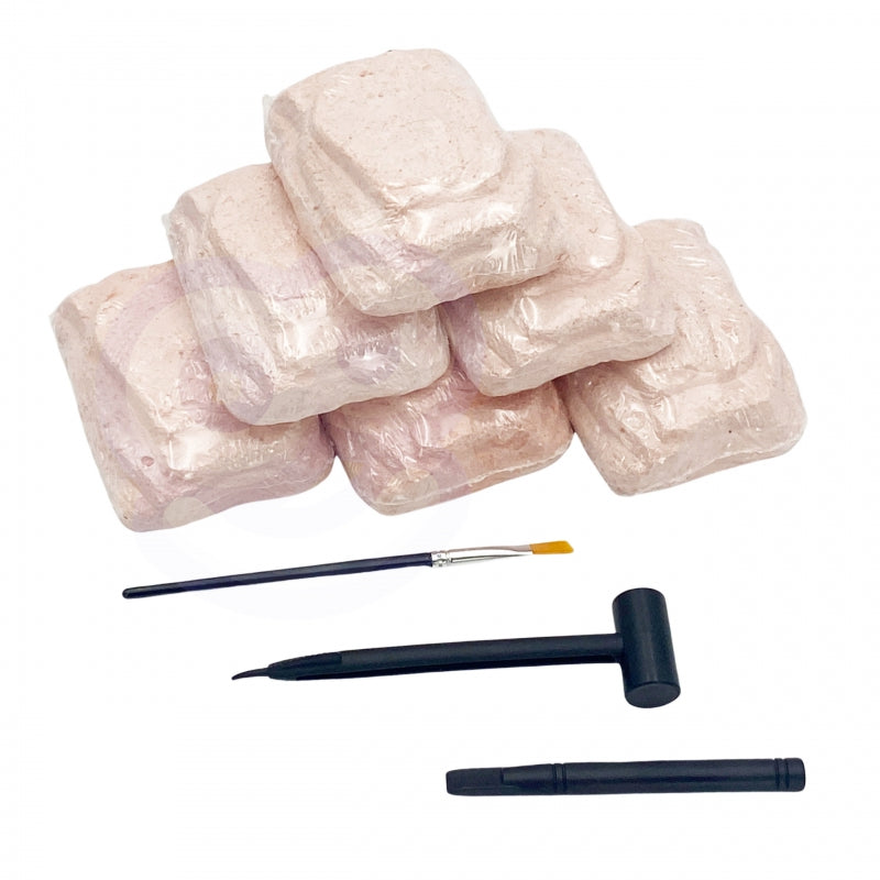 WOOPIE Dinosaurusskelet Opgraving set 6-in-1 - Kleine Archeoloog - 6 stuks