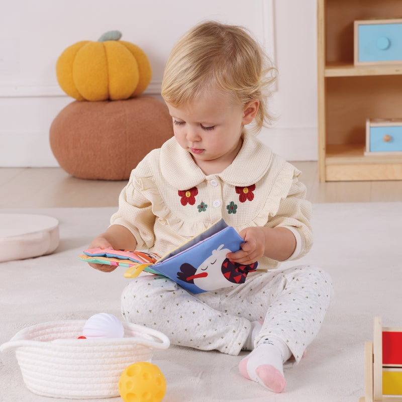 TOOKY TOY Baby Speelbox 6-in-1 voor baby's tussen de  5-6 Maanden