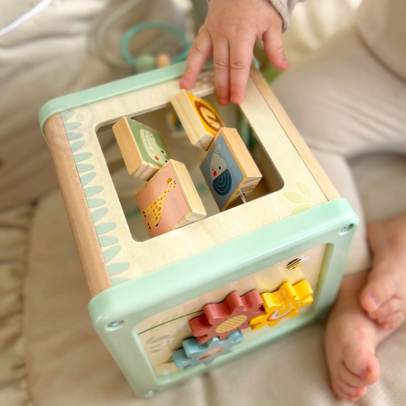 WOOPIE Houten Activiteitenkubus + Multifunctionele Educatieve Sorteerder