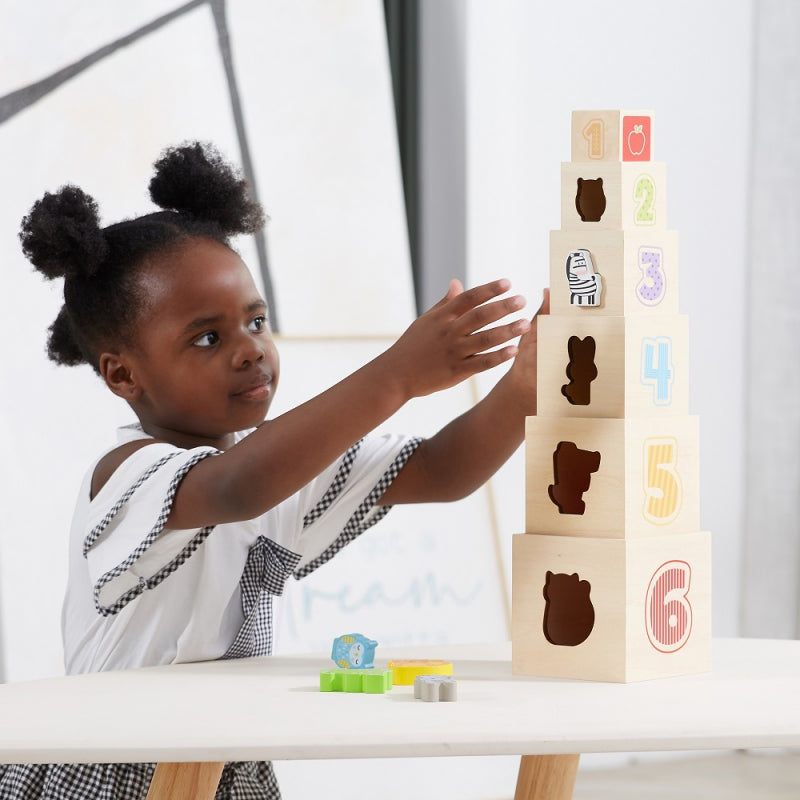 VIGA Houten Piramide Puzzelblokken