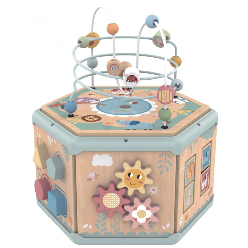 TOOKY TOY Interactieve houten zeshoekige Speelgoed doos