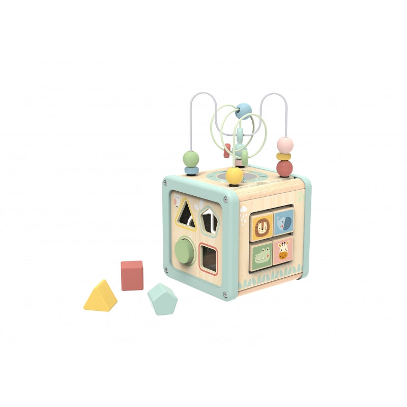 WOOPIE Houten Activiteitenkubus + Multifunctionele Educatieve Sorteerder