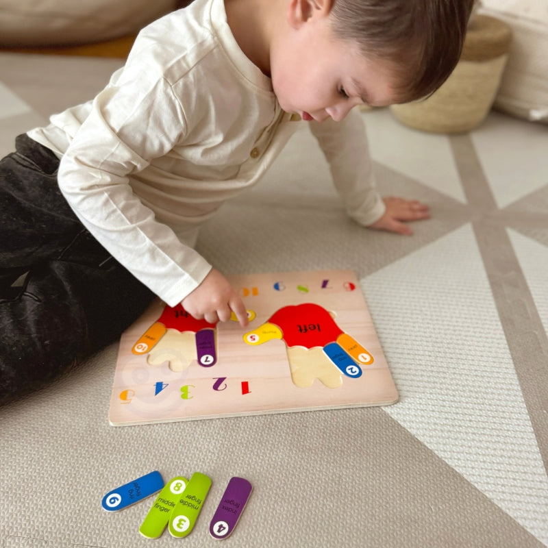 TOOKY TOY Educatieve houten puzzel Handleren tellen en kleuren