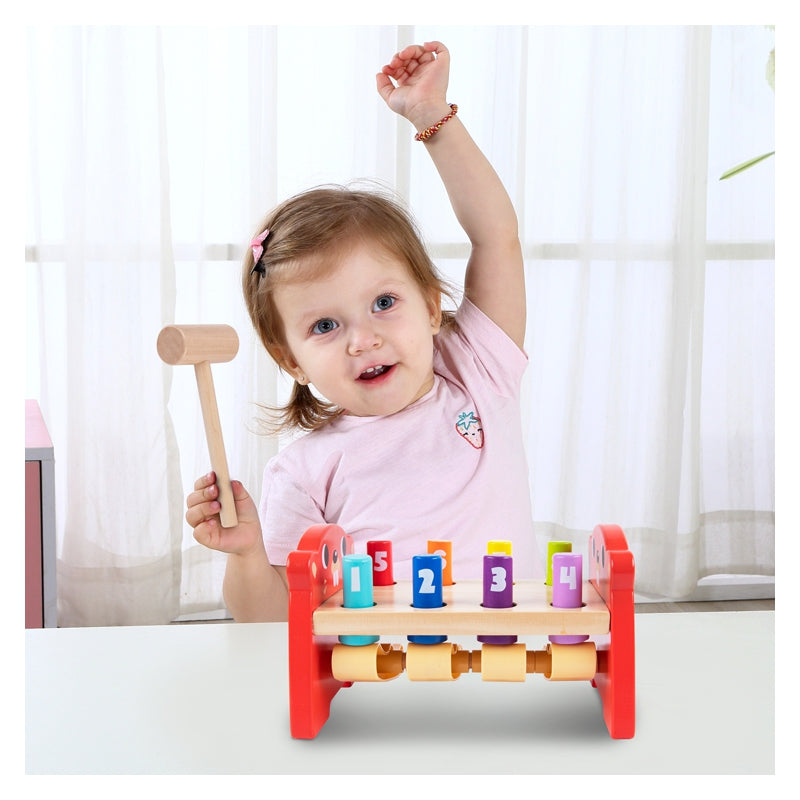TOOKY TOY Kleurrijke houten Whack a mole spel