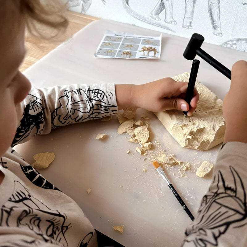 WOOPIE Speelgoed Dinosaurus Skelet Opgraven, graaf, reinig en bouw je eigen dinosaurus