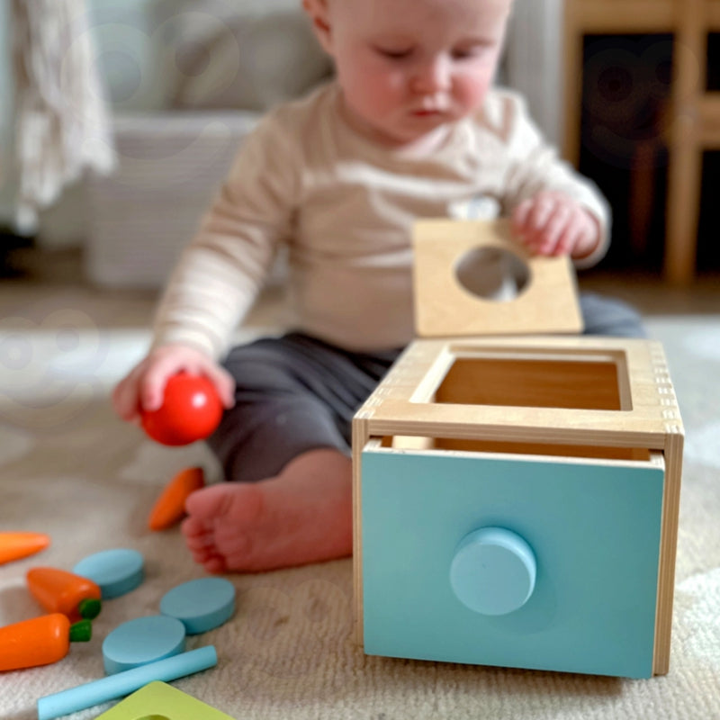 WOOPIE GREEN Houten Wortel 4-in-1 sorteerspel - Educatieve Lade - Montessori speelgoed -FSC