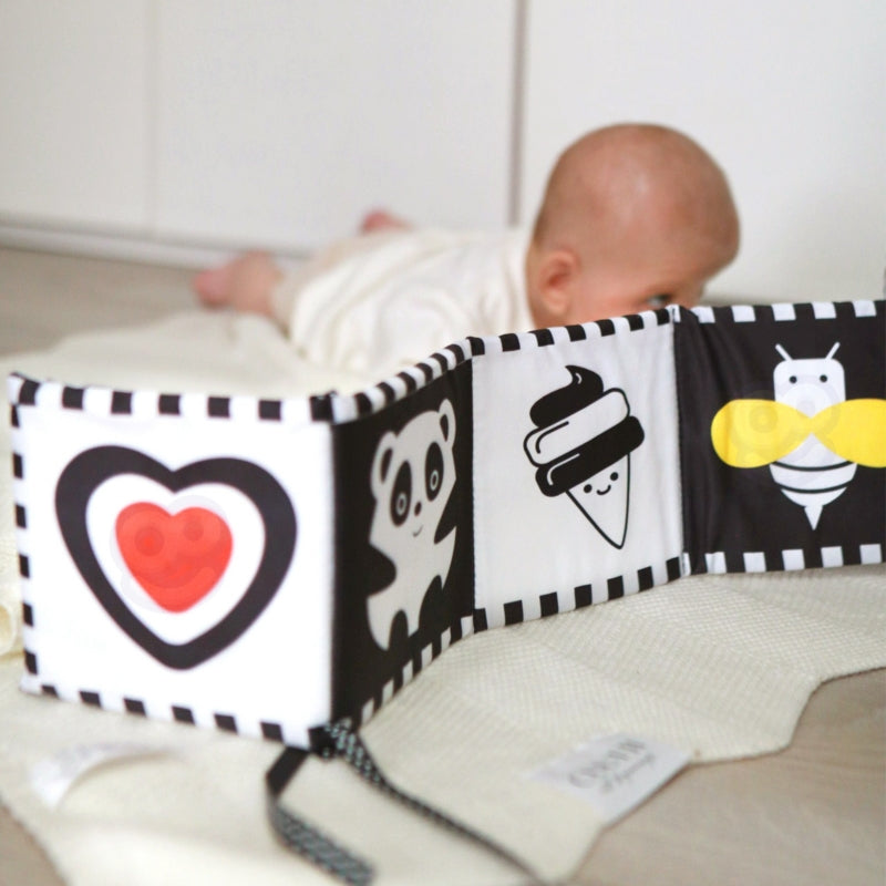 TOOKY TOY Speelgoed Box voor 0-2 Maanden - XXL