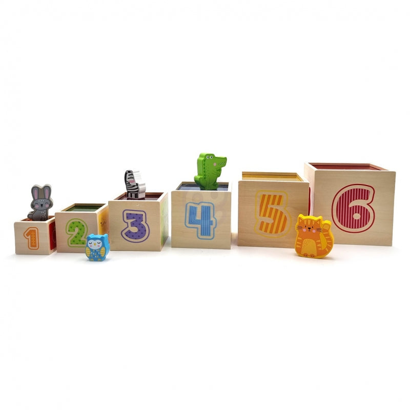 VIGA Houten Piramide Puzzelblokken