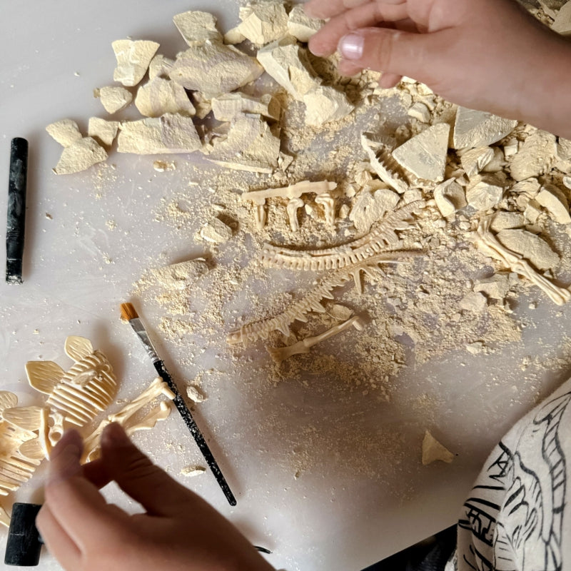 WOOPIE Speelgoed Dinosaurus Skelet Opgraven, graaf, reinig en bouw je eigen dinosaurus