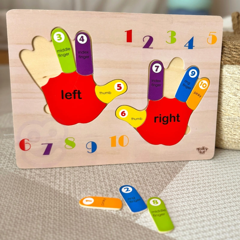 TOOKY TOY Educatieve houten puzzel Handleren tellen en kleuren
