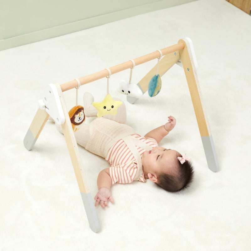 VIGA PolarB Babygym – Houten Speelboog voor Baby's