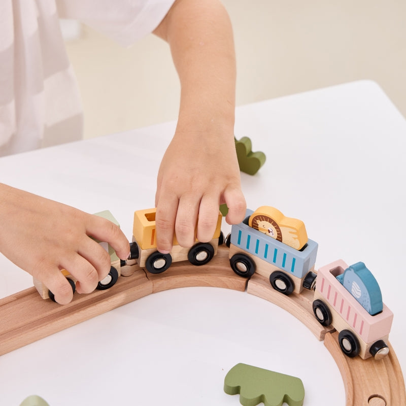 Viga Houten Treinset 30 stuks