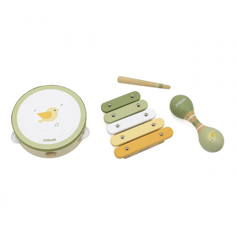 VIGA PolarB Muziekinstrumentenset