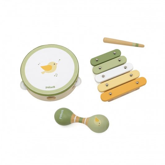 VIGA PolarB Muziekinstrumentenset