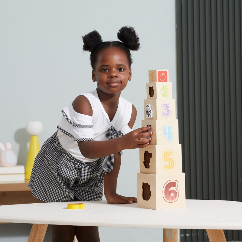 VIGA Houten Piramide Puzzelblokken