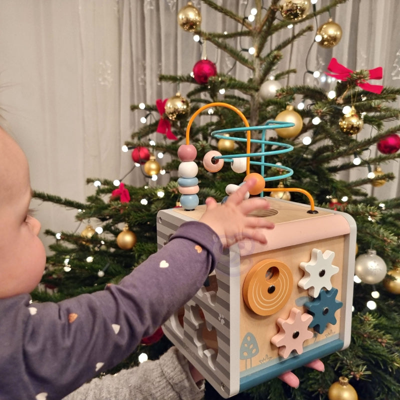 VIGA PolarB Houten Activiteit Kubus voor baby's en peuters