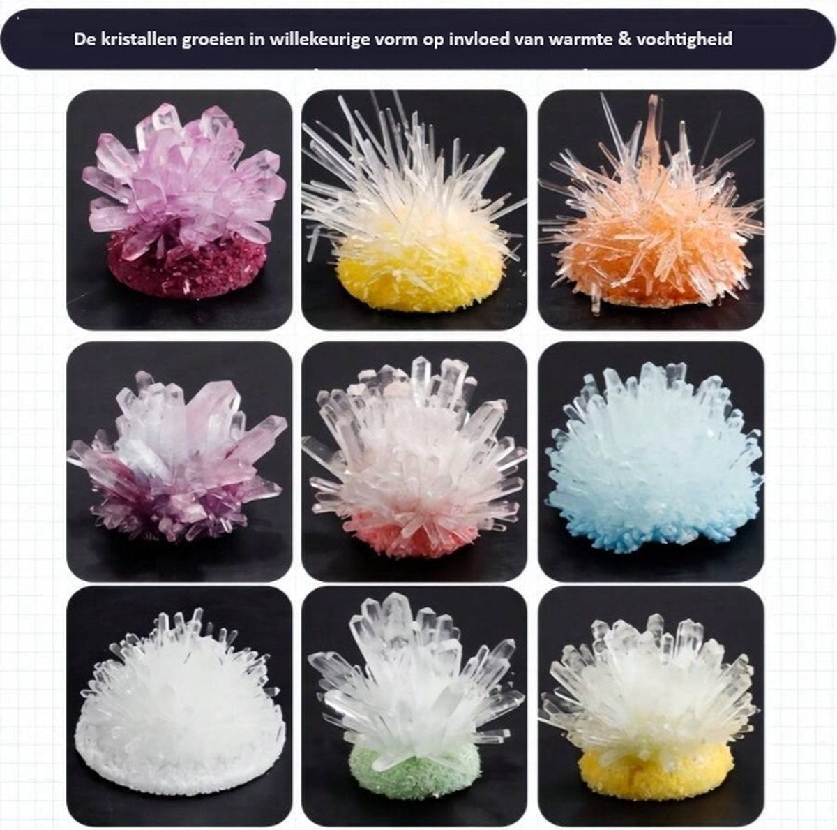 DIY kristallen maken set - zelf kristallen maken - kristallen kweken - Experimenteer set - STEM speelgoed