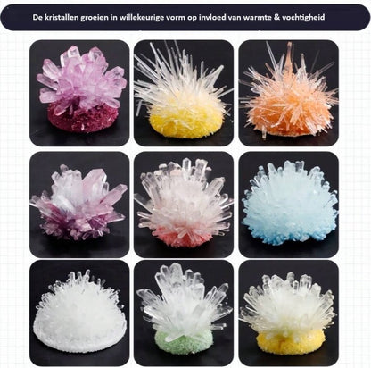 DIY kristallen maken set - zelf kristallen maken - kristallen kweken - Experimenteer set - STEM speelgoed