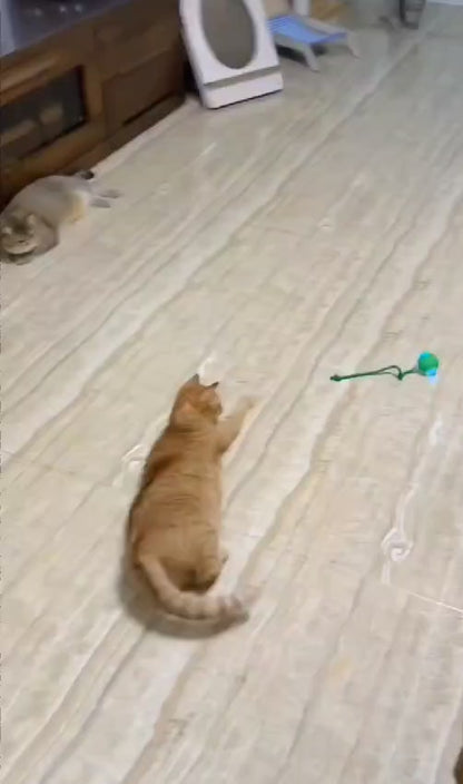 Zelfbewegende Elektrische speelgoedbal voor Katten- en Honden